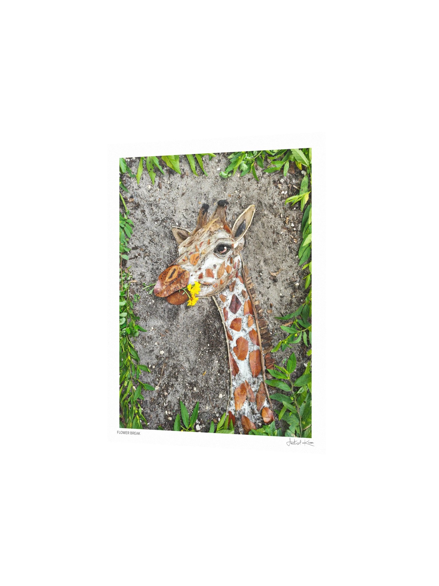FLOWER BREAK | Nature Art Print product image (3)