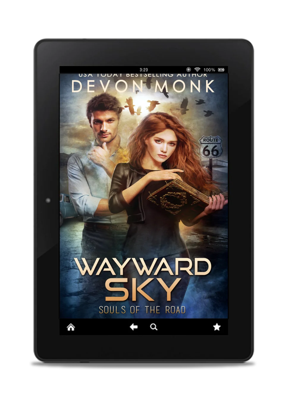 WAYWARD SKY - (ebook) - Book 3 product image (1)