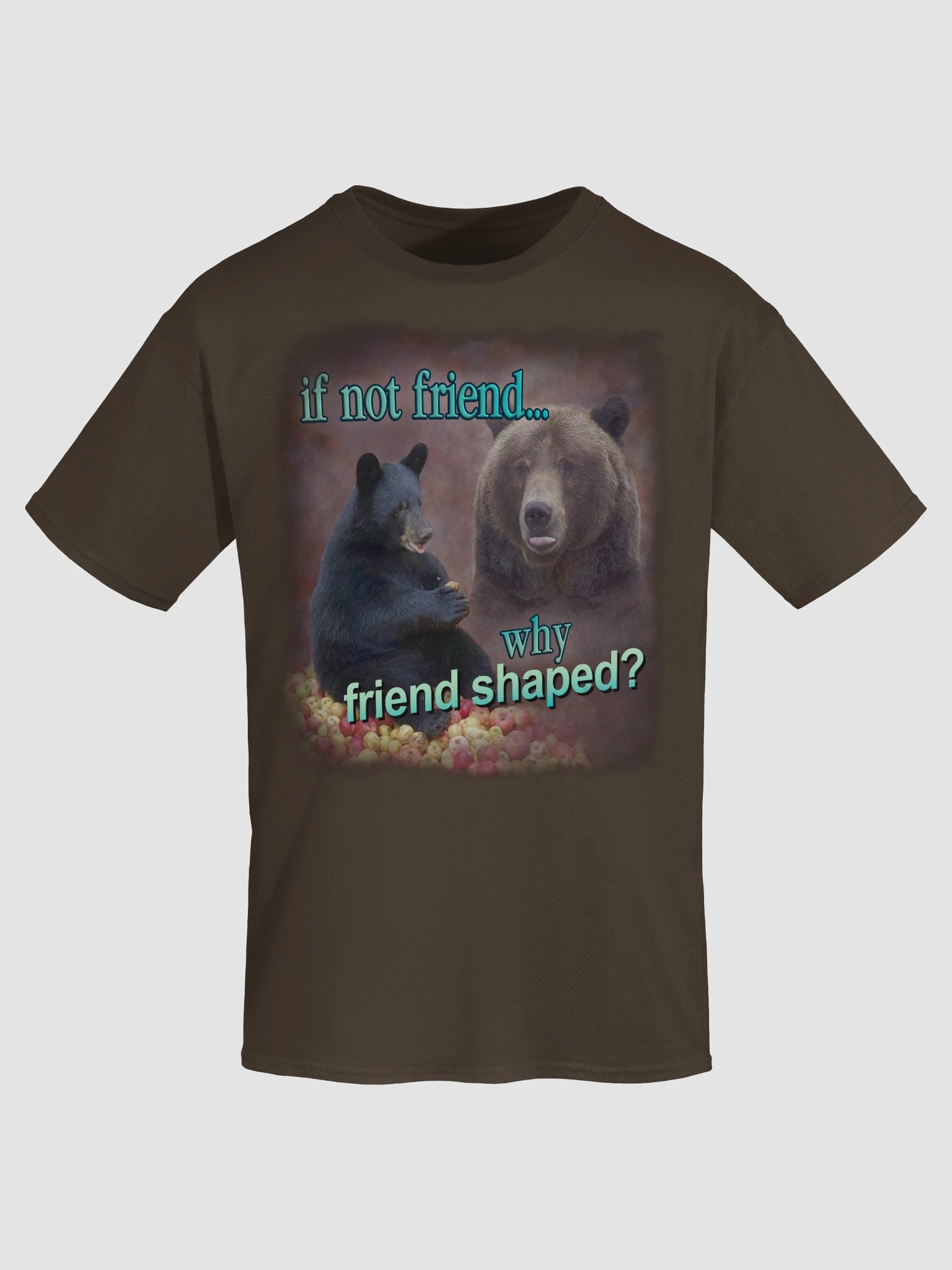 If Not Friend, Why Friend Shaped Bear T-shirt product image (5)