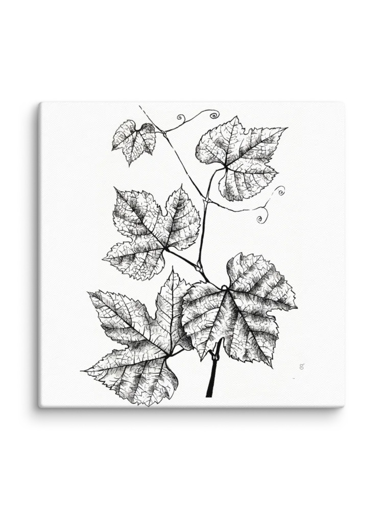 Botanical Bliss Canvas Art - Grape Leaves product image (2)
