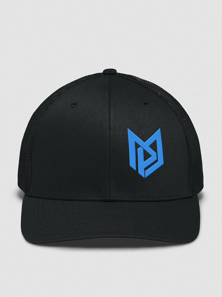 Phillyy Logo Hat product image (4)