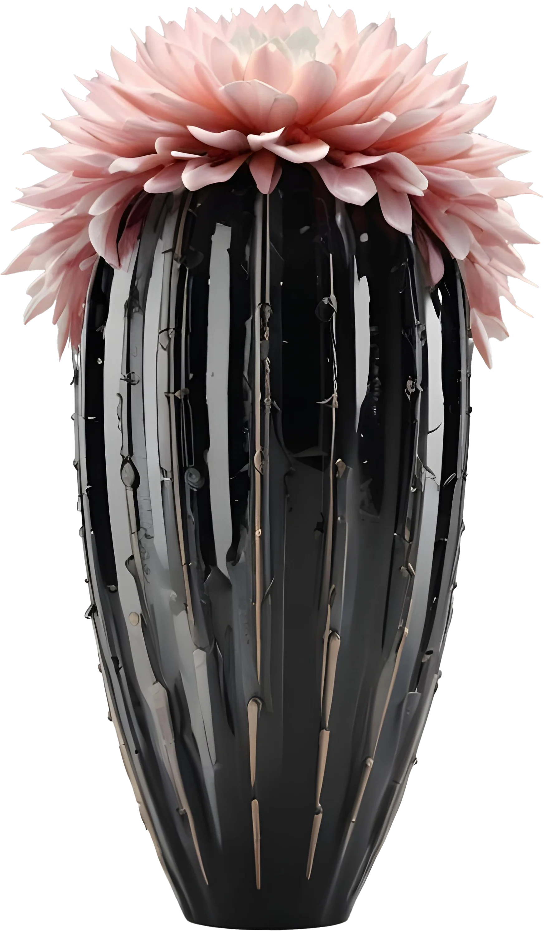 Black & White Signature - 10 object set png product image (7)