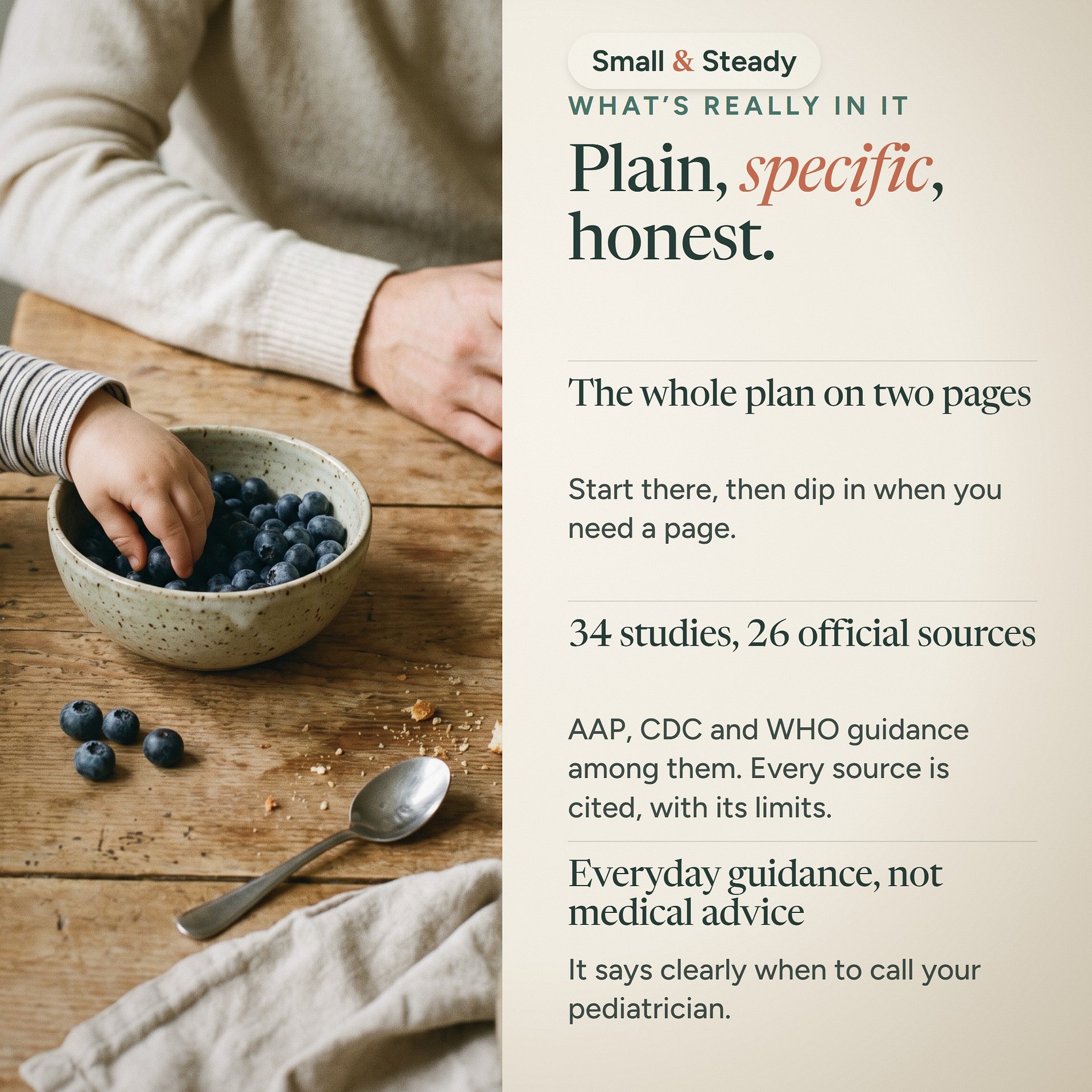 The Toddler Play & Conversation Plan product image (6)