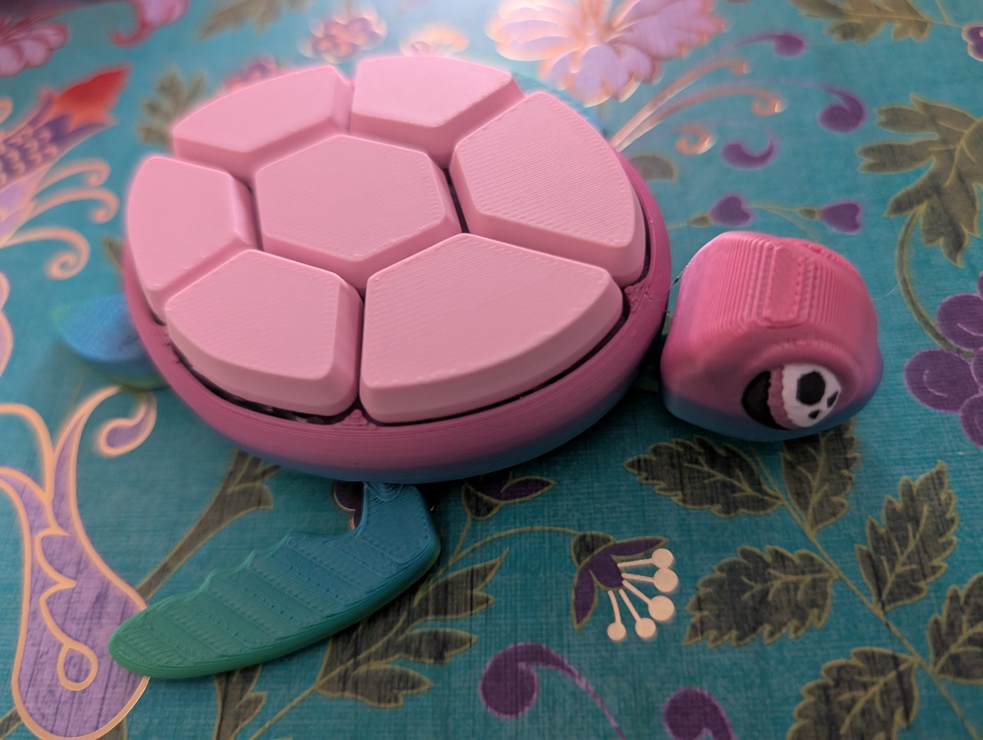 Paws & Turtles Clicker Fidgets product image (4)