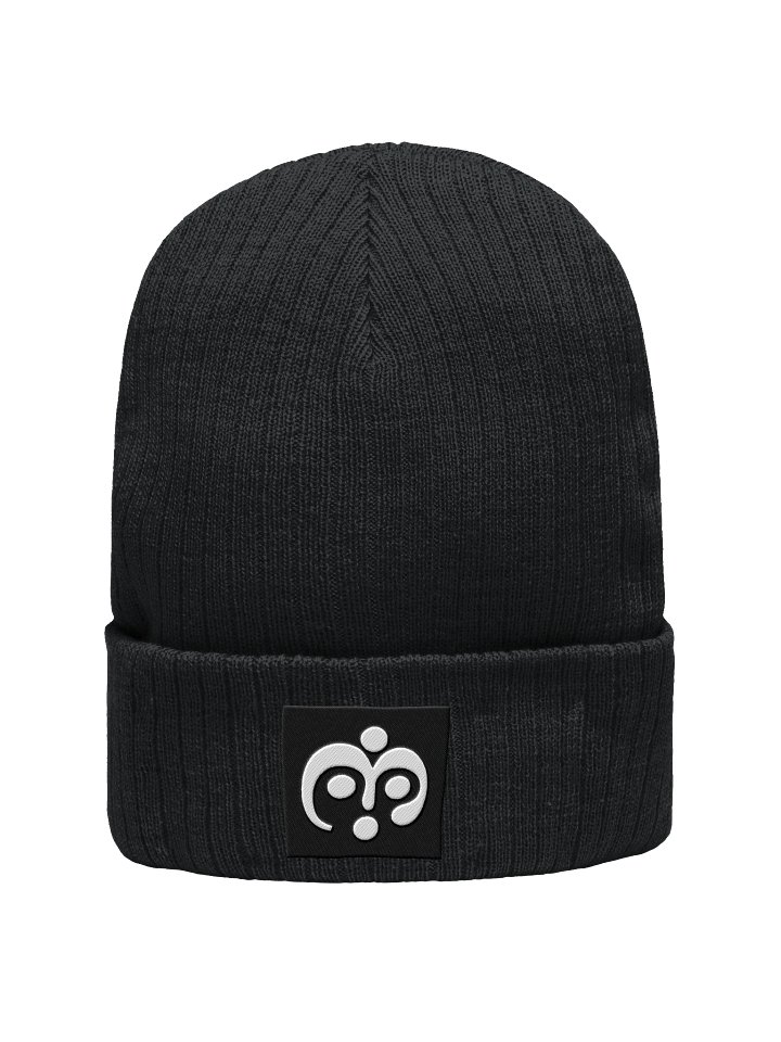 Logo Beanie (Black) product image (1)