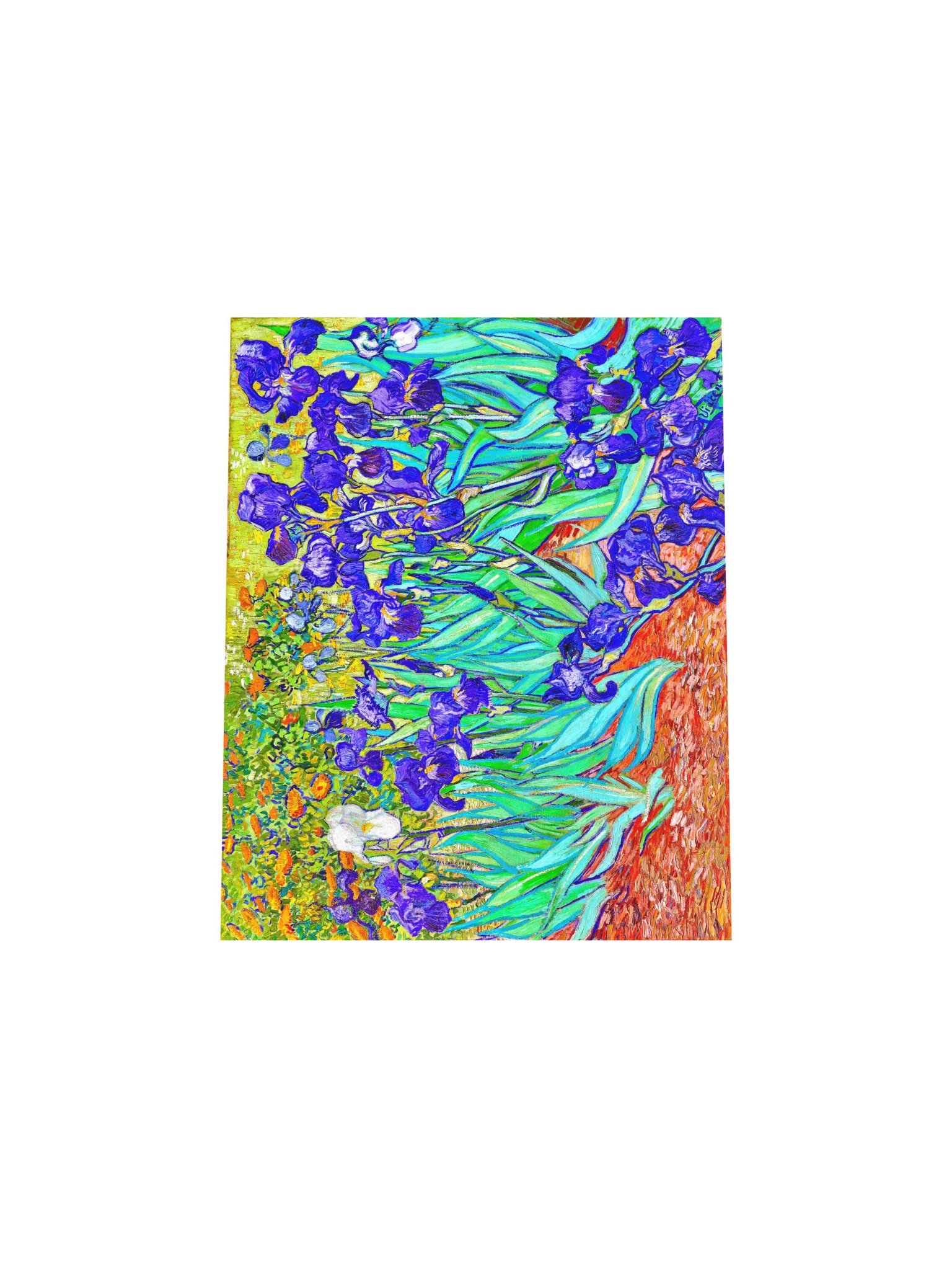 Irises — Small Poster product image (4)