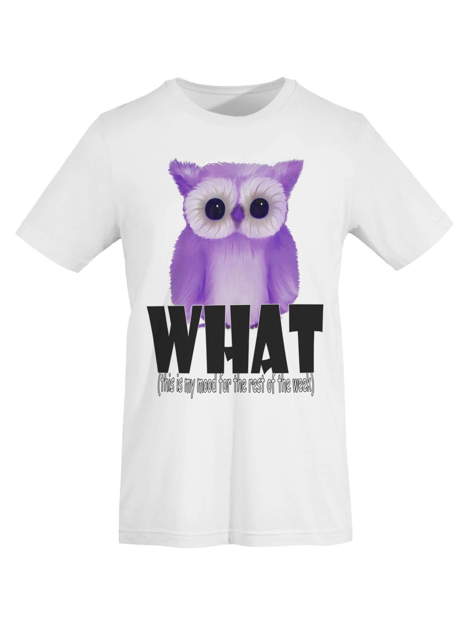 Owl "WHAT" T-Shirt. Women's Bella+Canvas Supersoft T-Shirt product image (3)