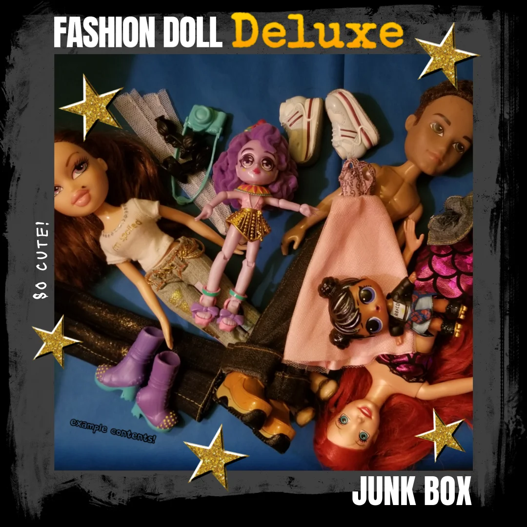 DELUXE Fashion Doll Junk Box product image (1)