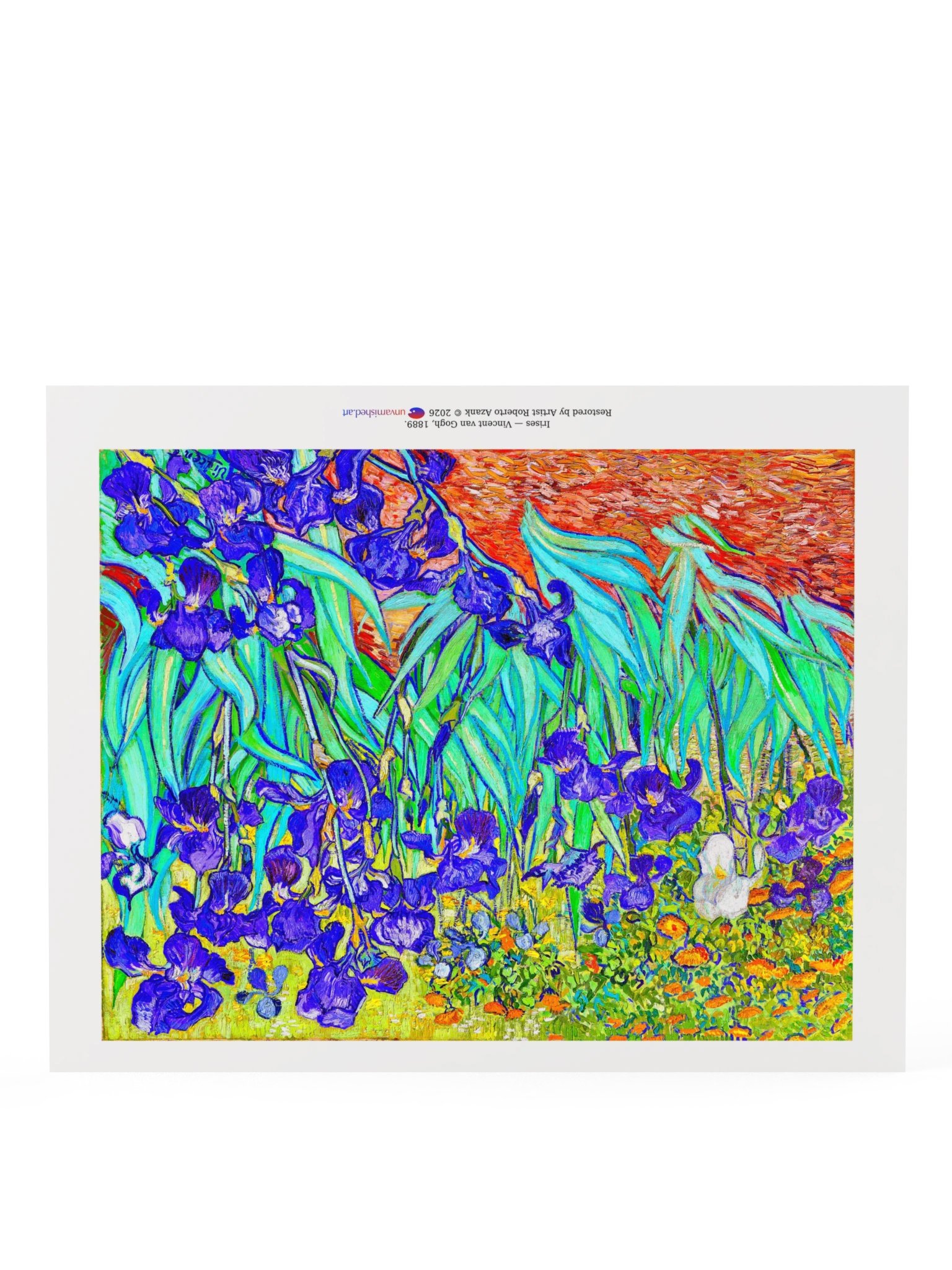 Irises — Poster product image (20)