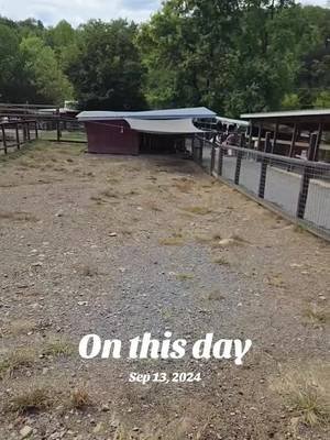#onthisday
