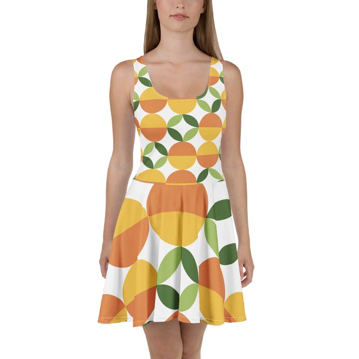 Geometric Fusion Sleeveless Skater Dress product image (2)