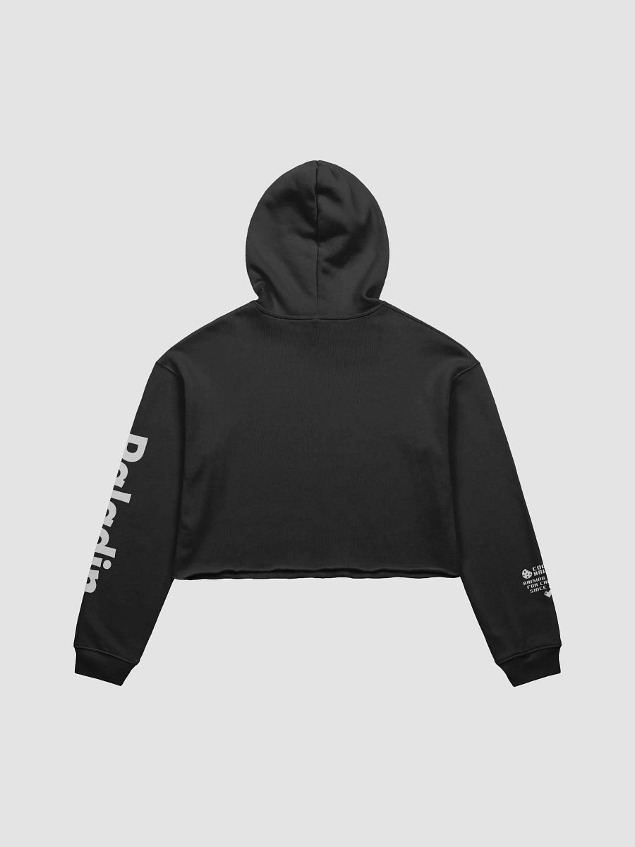 Paladin Cookie Cropped Hoodie product image (6)