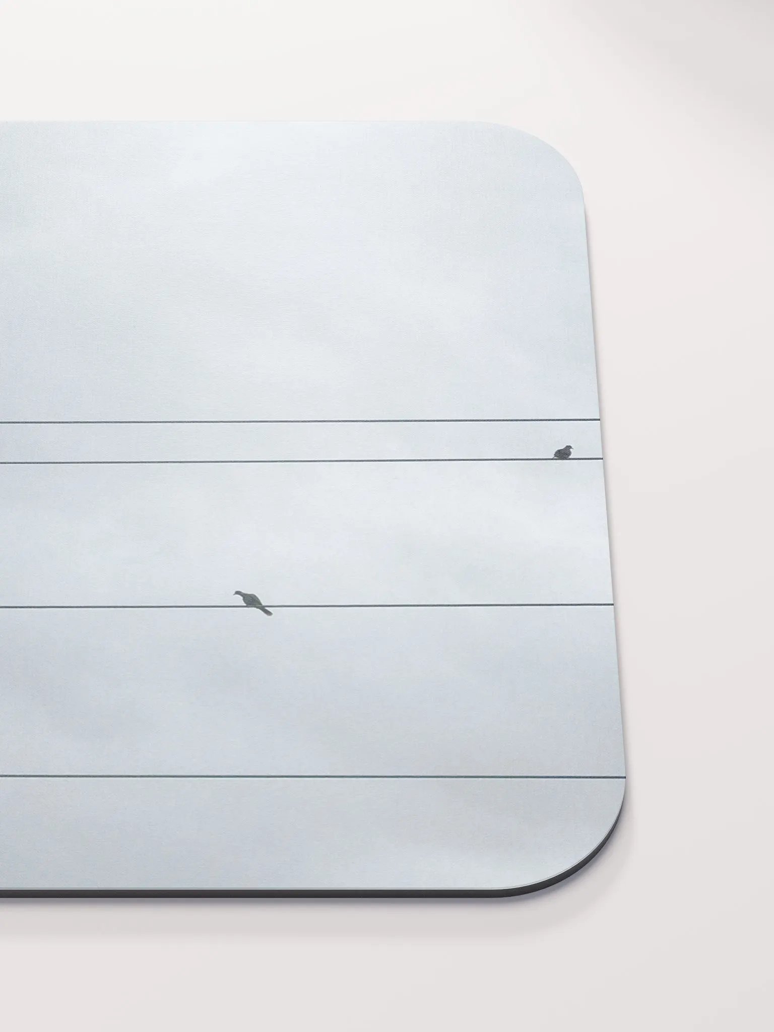 Bird Power product image (5)