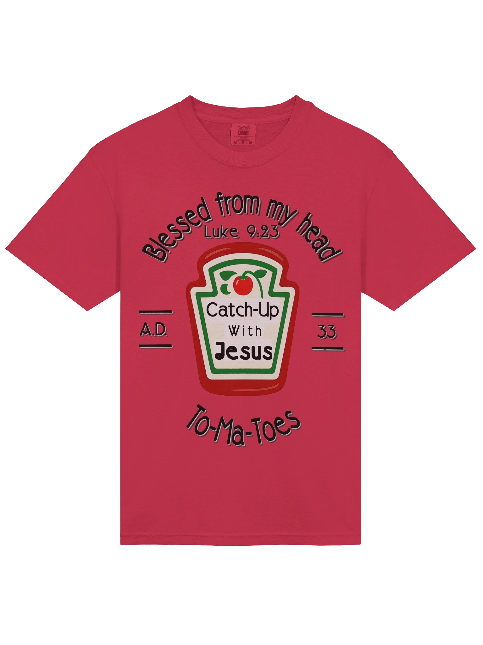 Catch Up With Jesus, A.D. 33 product image (3)