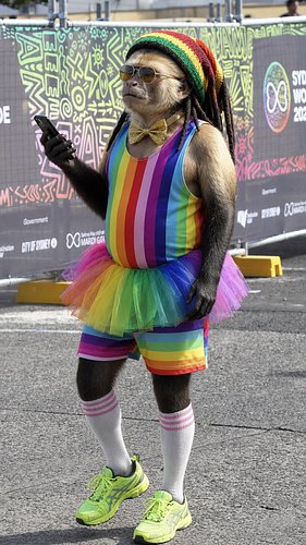 JAHMUNKEY PRIDE INTERVIEW🌈 #jahmunkey #pride🌈 #funny #ai #monkey