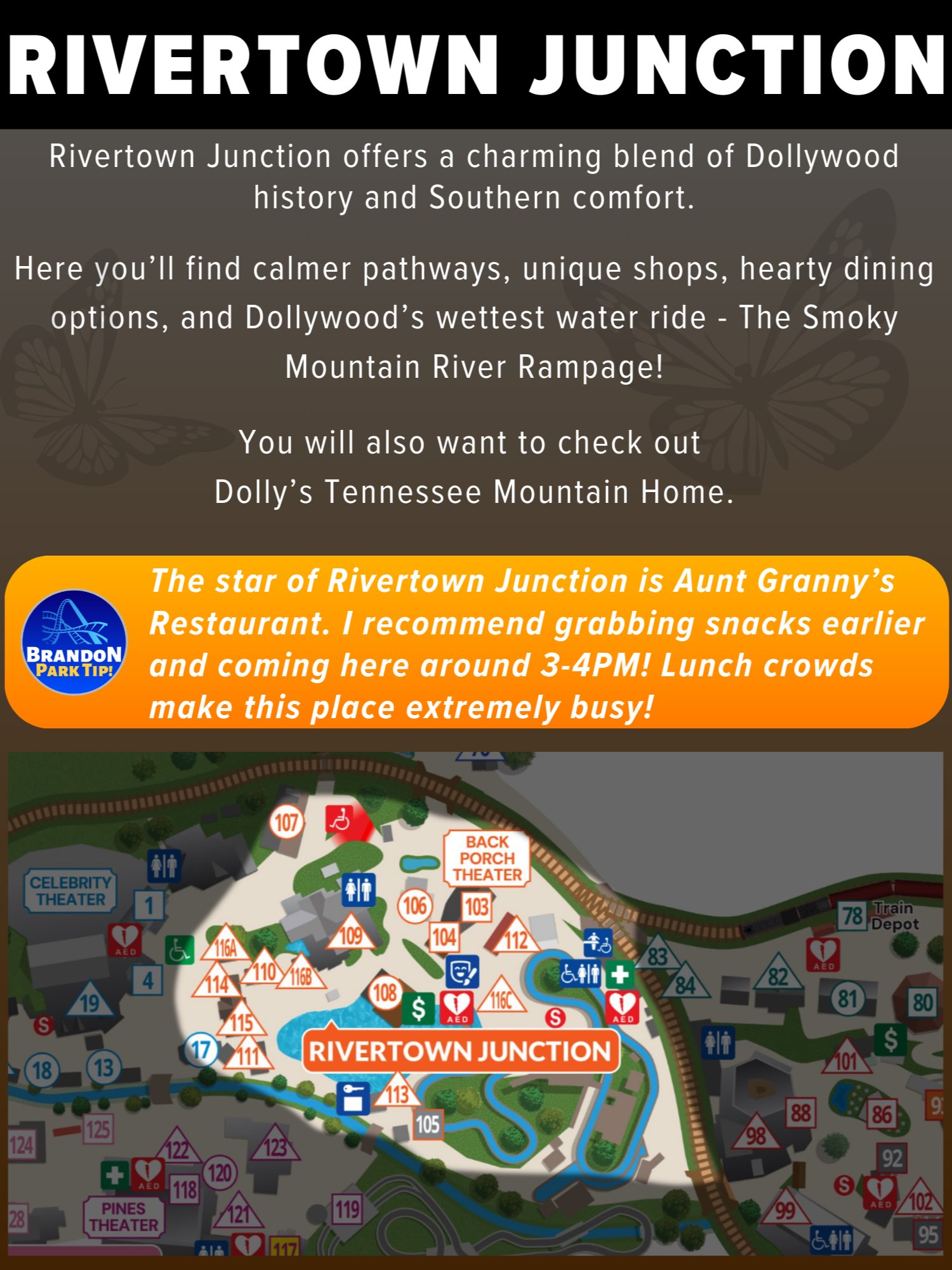 Dollywood Ultimate Guide Bundle (2026) | 76-Page Printable Digital PDF + Printer-Friendly Version product image (6)