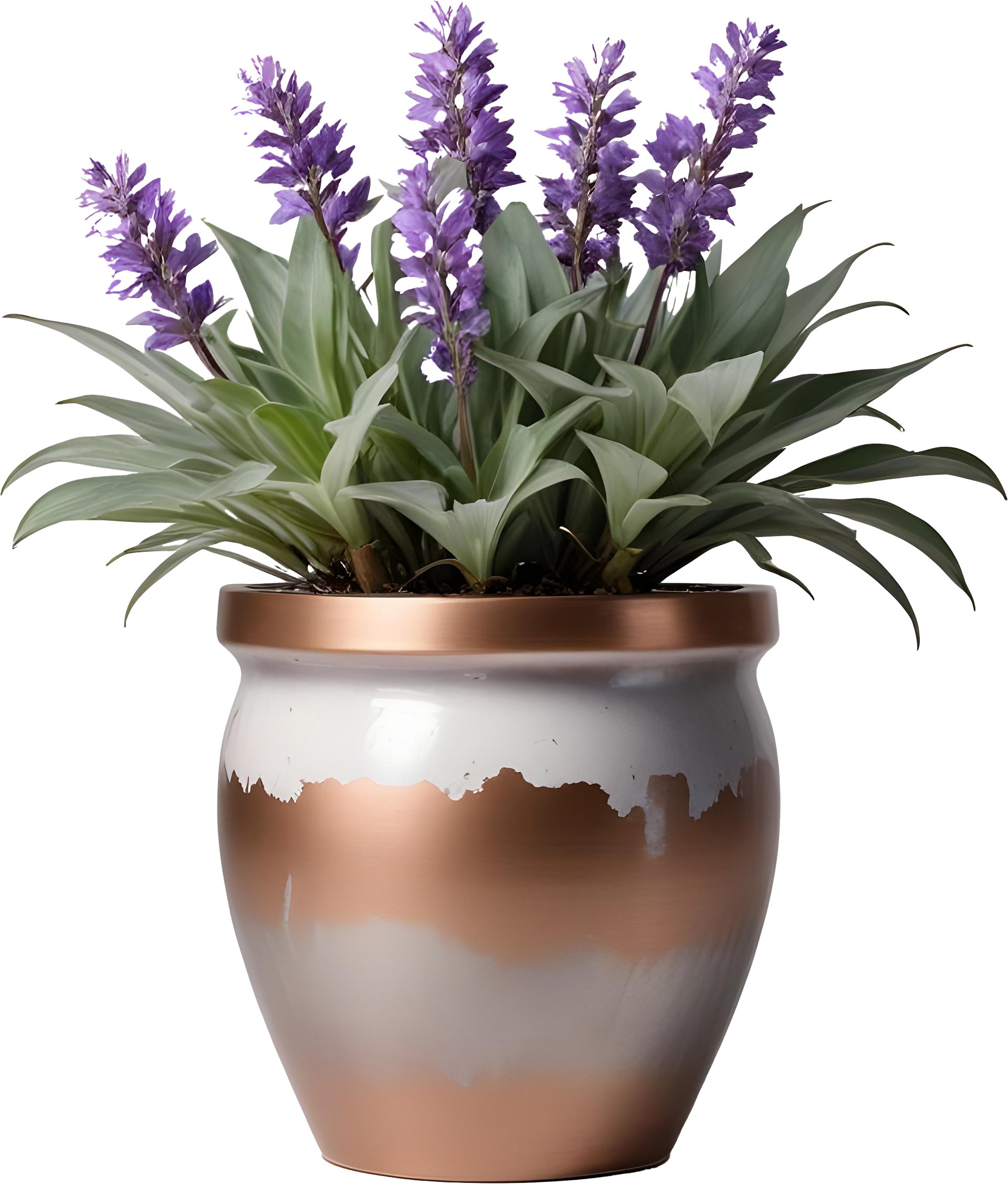 Set of 6 Provence-Inspired Objects, PNG product image (3)
