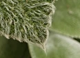 #fieldnotes's tag thumbnail