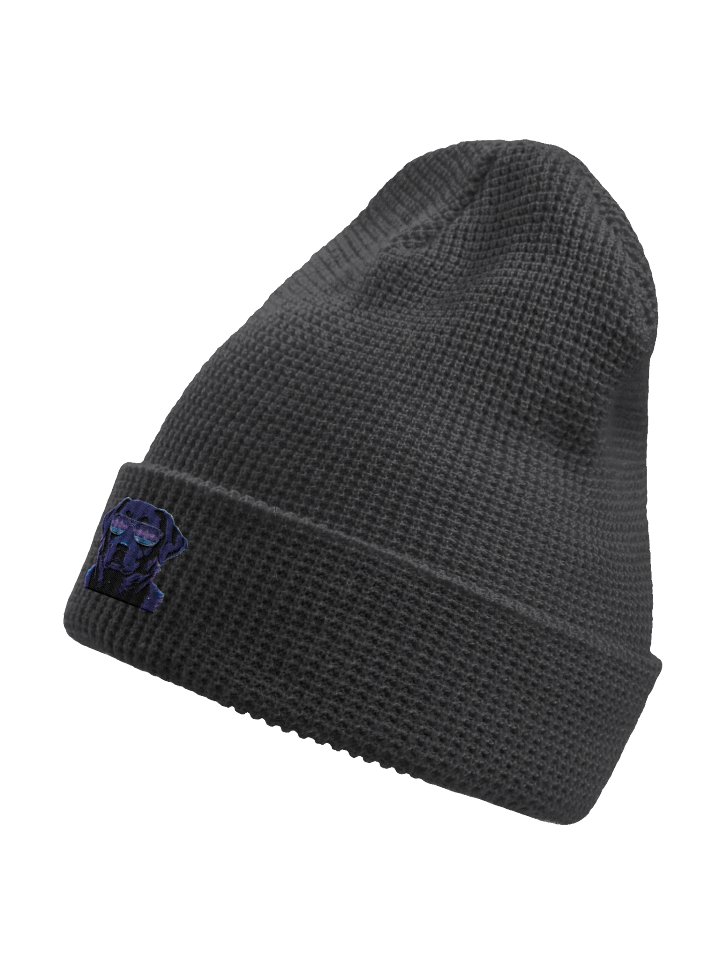 The Porter Says Podcast Logo Neon Beanie. product image (2)