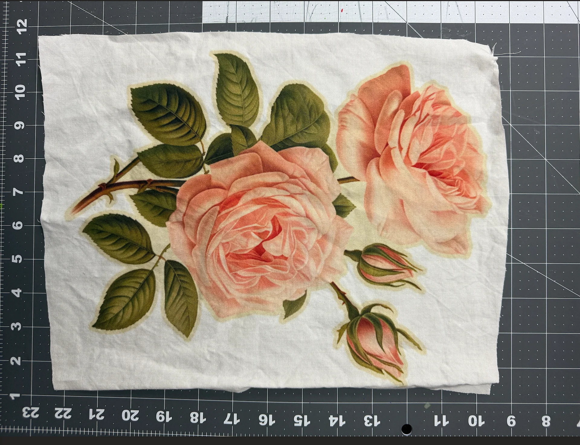 JUMBO ROSES product image (1)