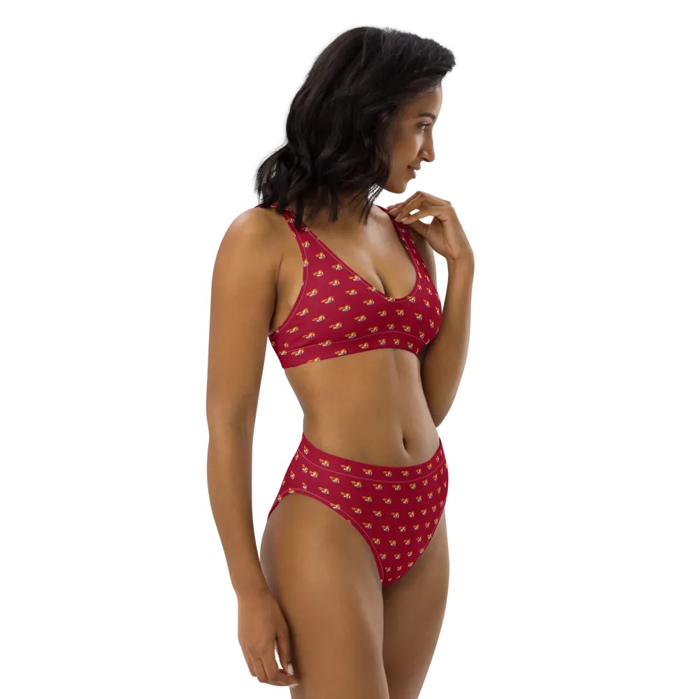 MSLA Red High Waisted Bikini product image (12)