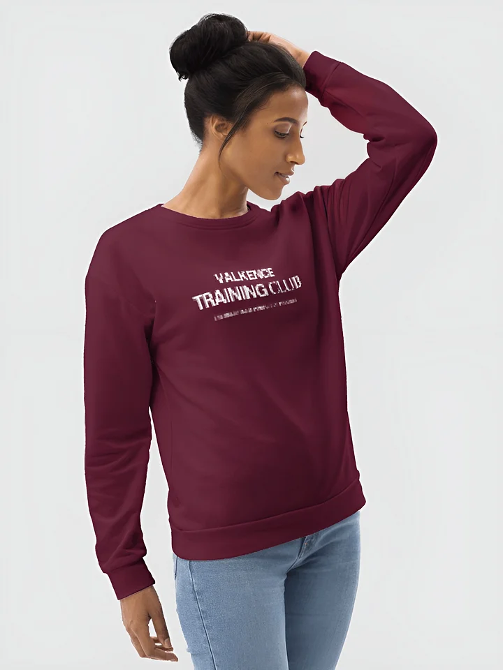 Training Club Sweatshirt - Plum product image (2)