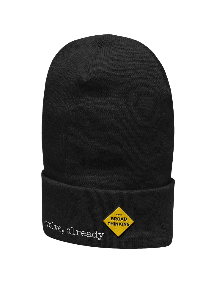 "evolve, already" Beanie product image (2)