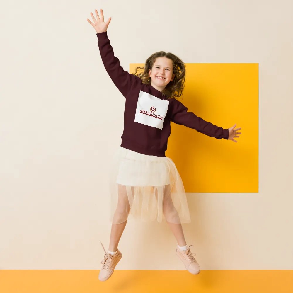 maroon youth STREAMGOD sweater product image (7)