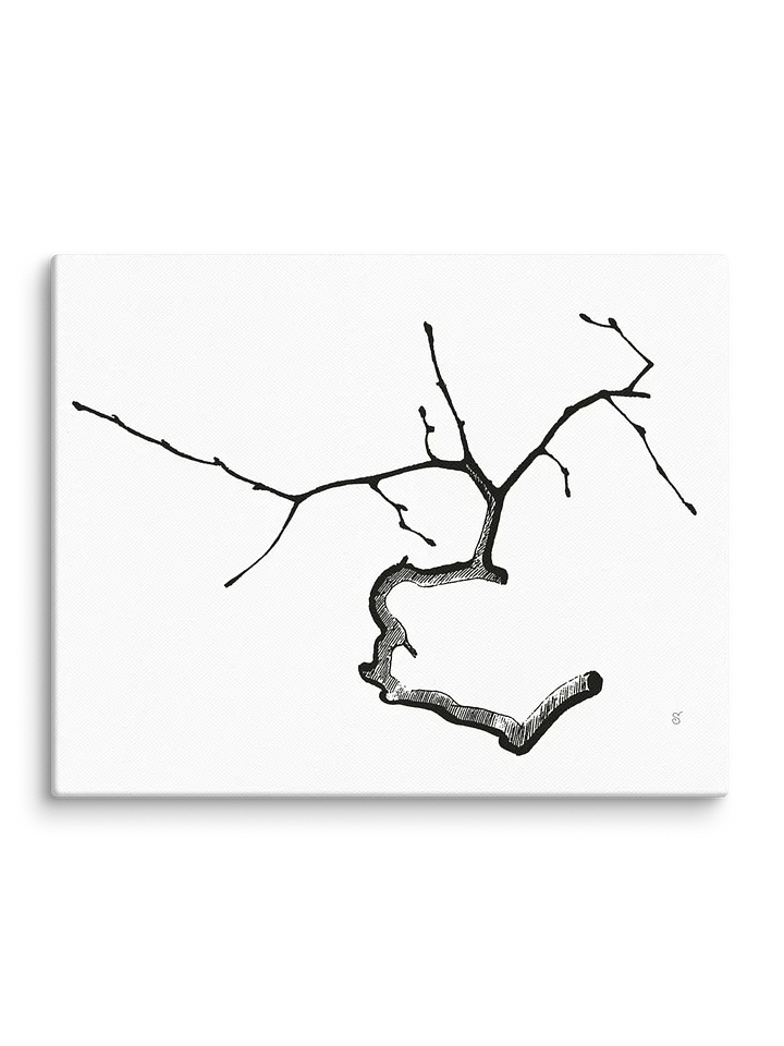 Branching Out Canvas Collection - Elegant Twig product image (2)
