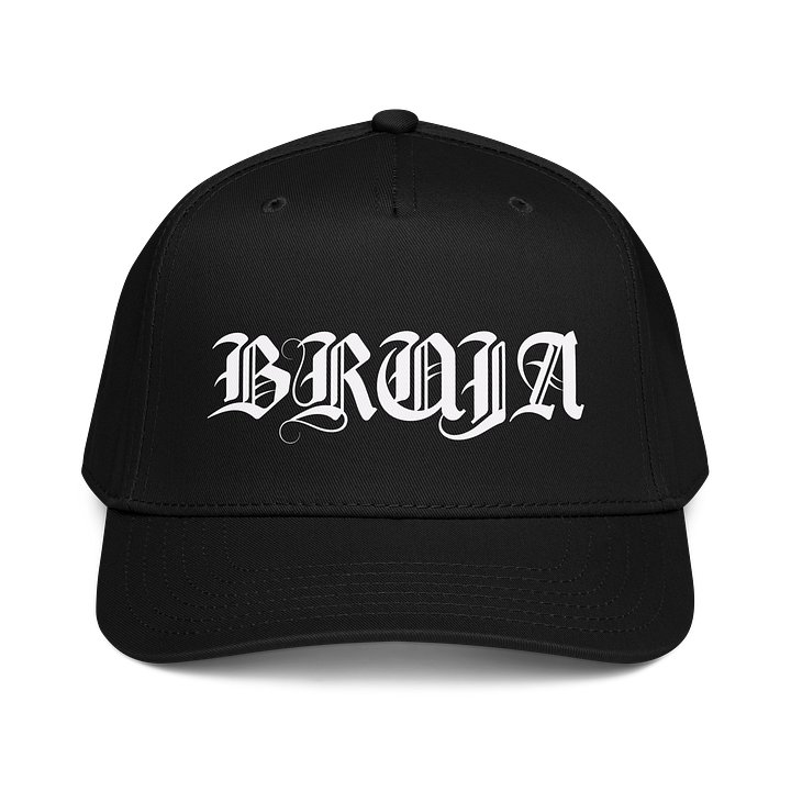 Bruja Witch Hat product image (1)