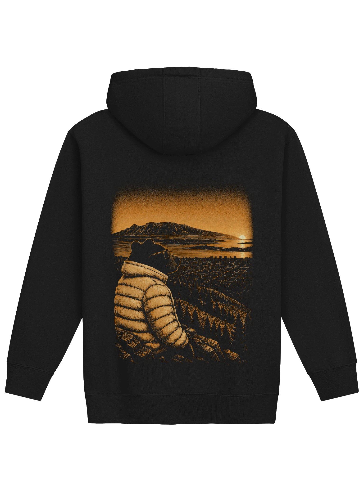Mr Anchorage Overlook Hoodie product image (2)