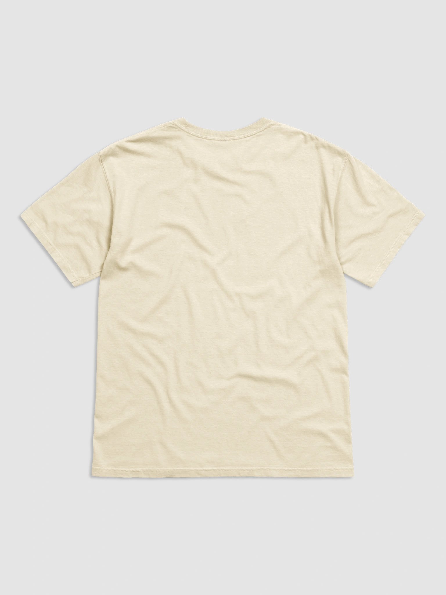 Do Not Disturb Capybara Laptop Tee product image (5)