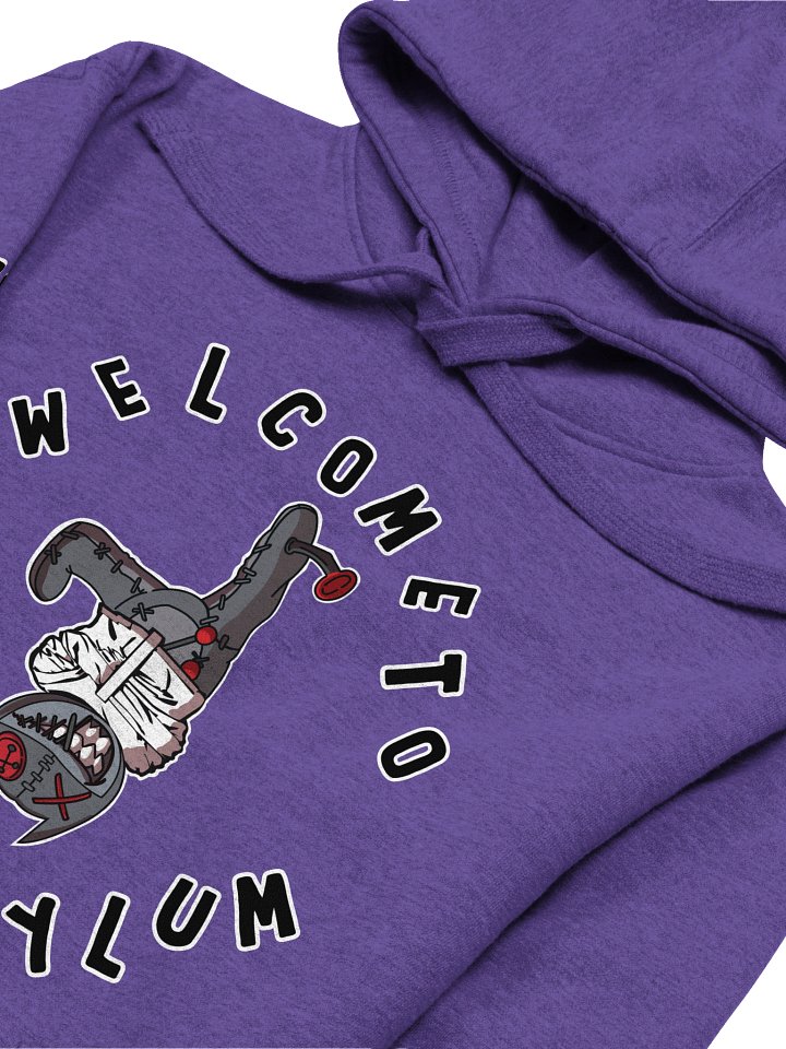 Asylum Hoodie product image (1)