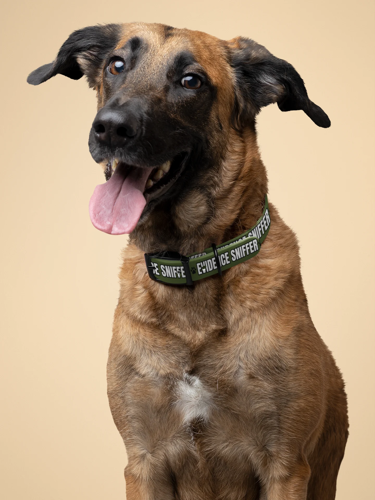 Evidence Sniffer Dog Collar product image (7)