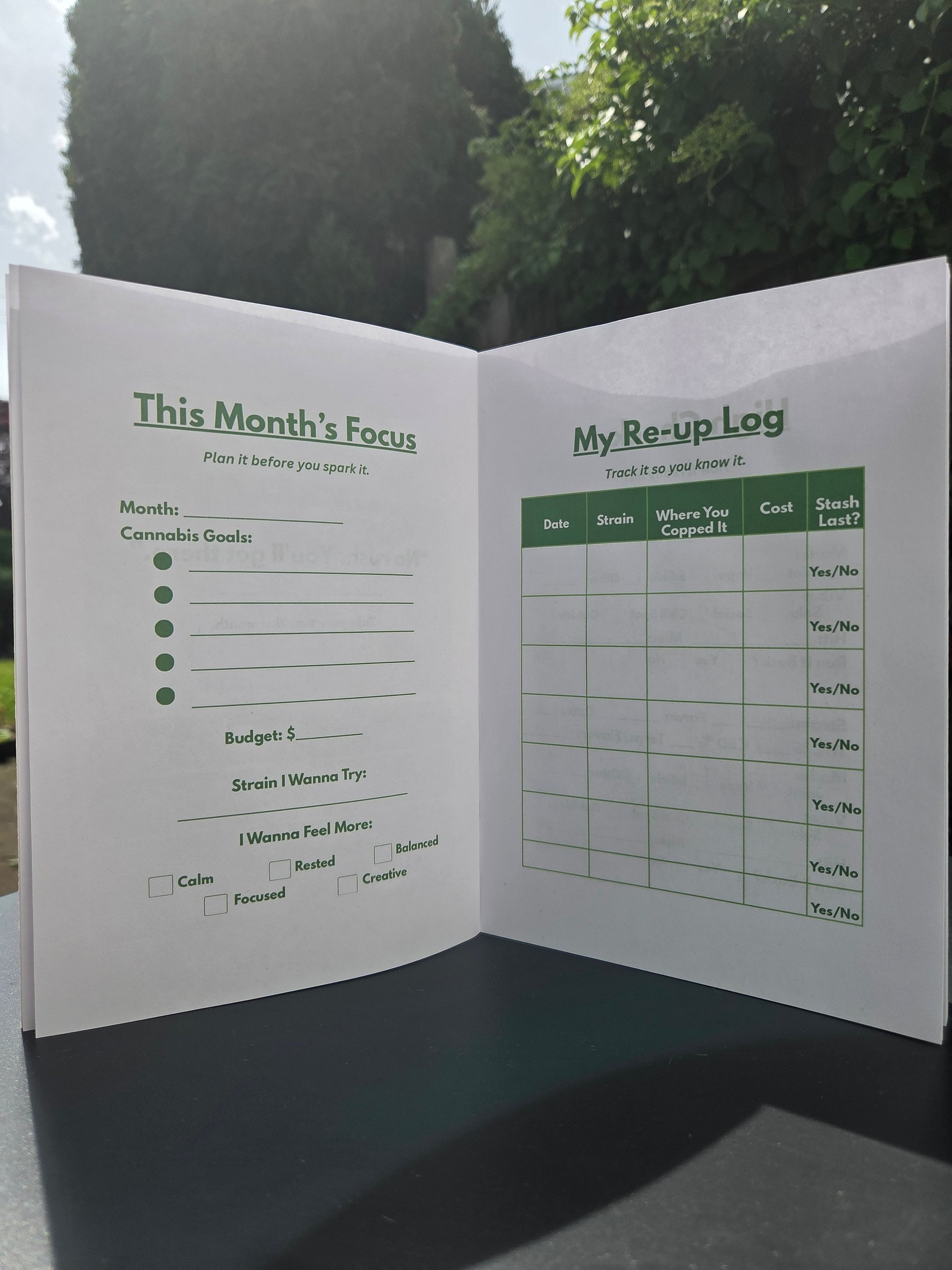 Cannabis Companion — 12-Month Tracker product image (2)