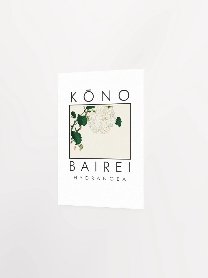 Kono Bairei Hydrangea Flower Poster product image (12)