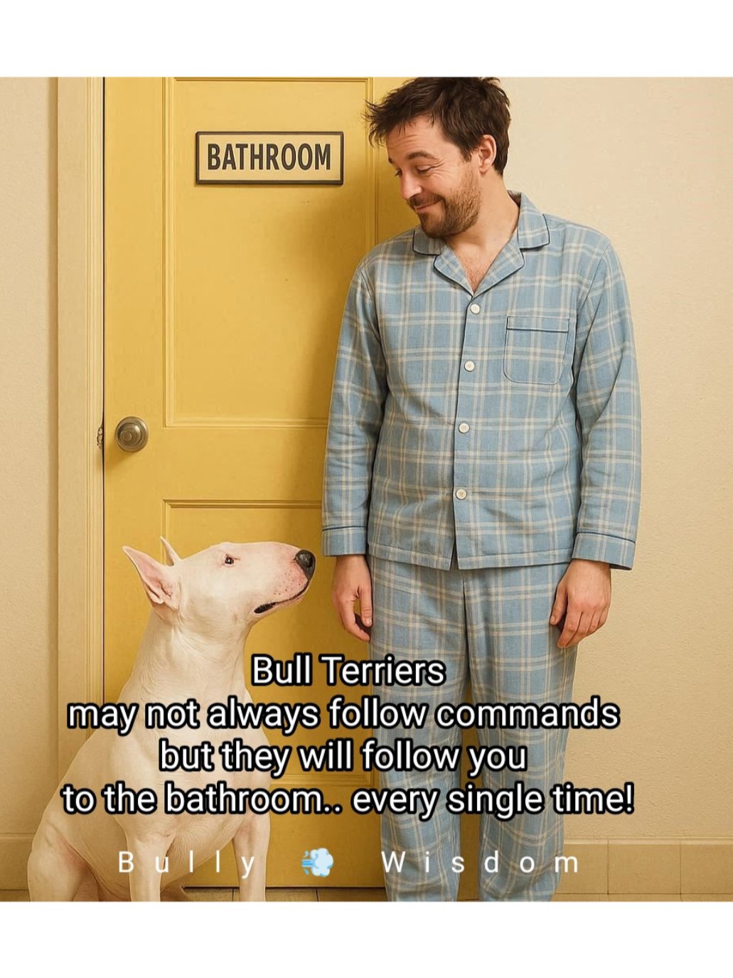 Bull Terrier- Calendar 2026 product image (4)