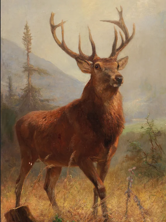 Vintage Animals Art Collection product image (3)