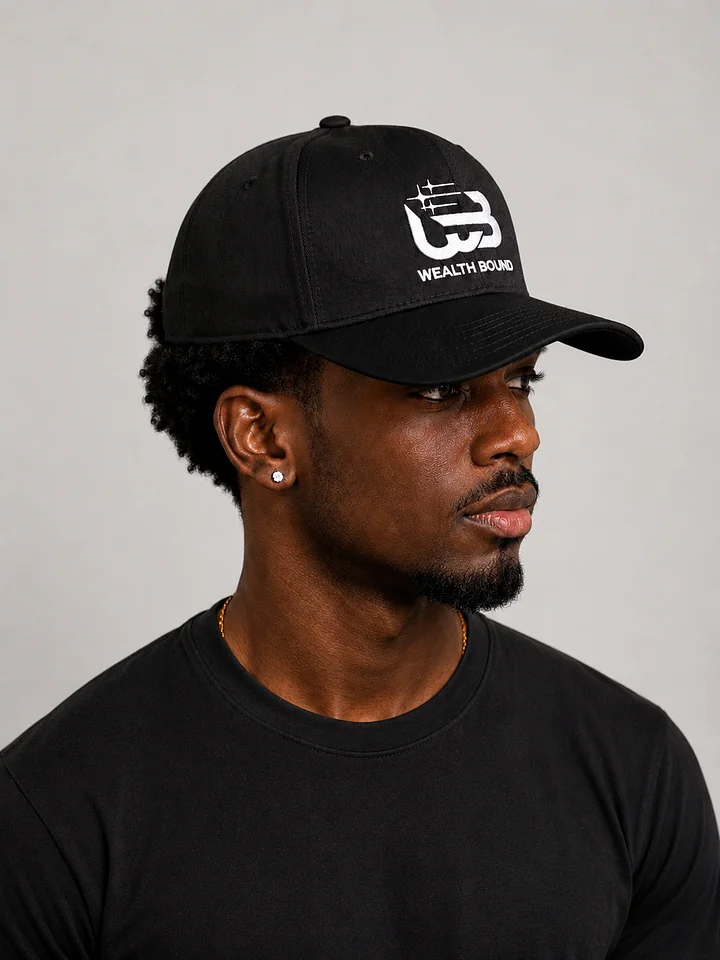 Otto Cap Mid-Profile Baseball Cap product image (1)