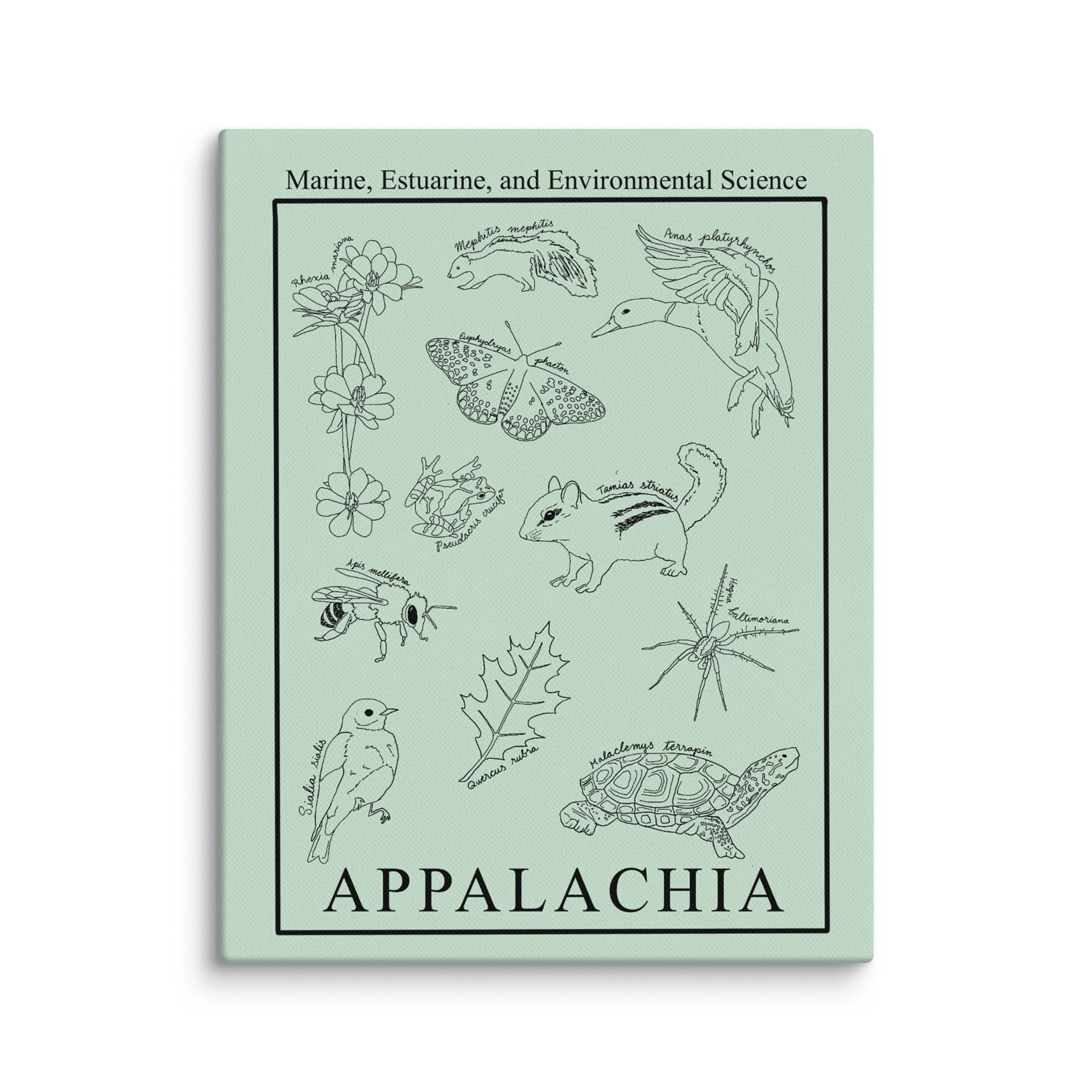 Appalachia Canvas product image (1)