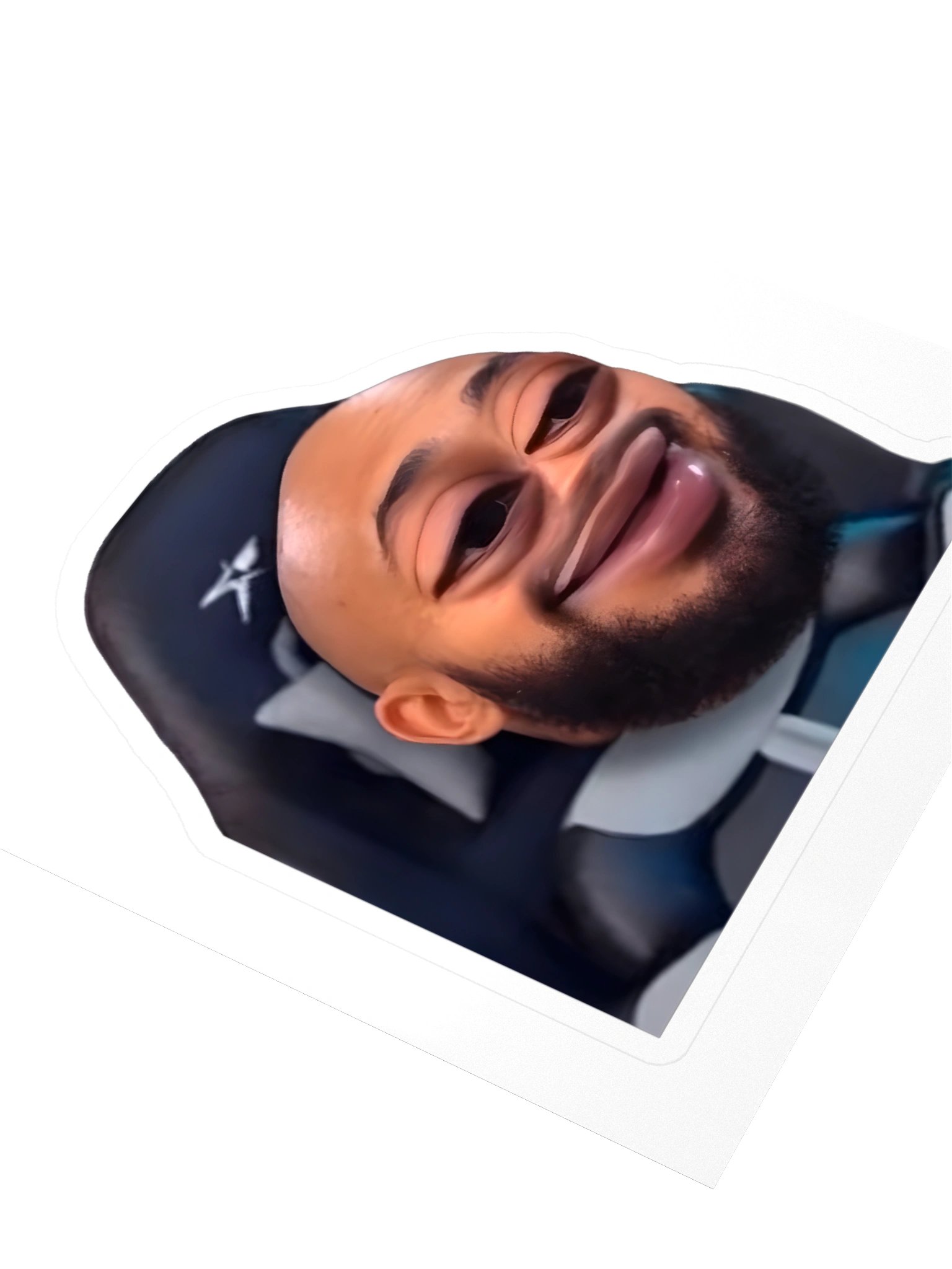 The Buffalo Has Logged On Laptop Sticker product image (3)