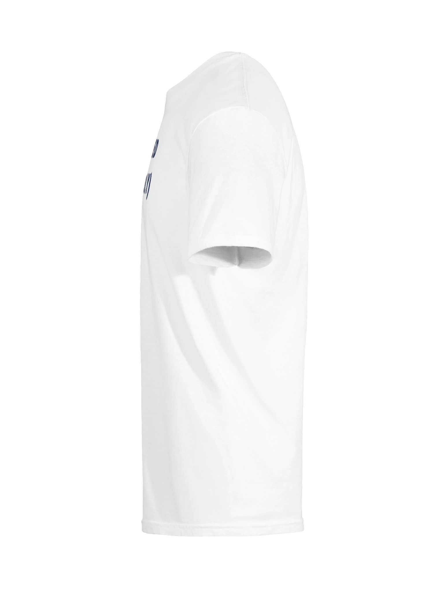 Delivered (Allegedly) Tee — Light product image (65)