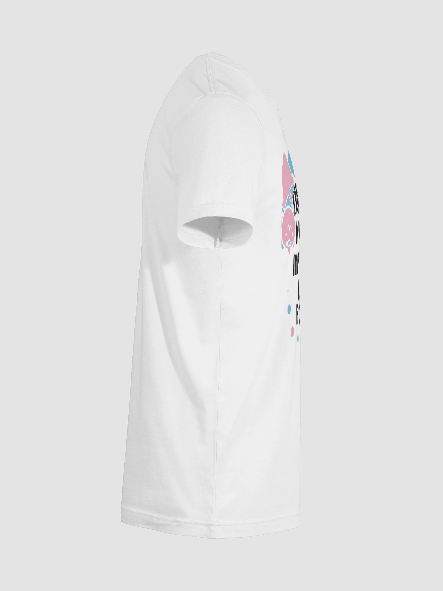 ✨ FRONT PRINT ✨ Chipflake Trans Lives product image (12)