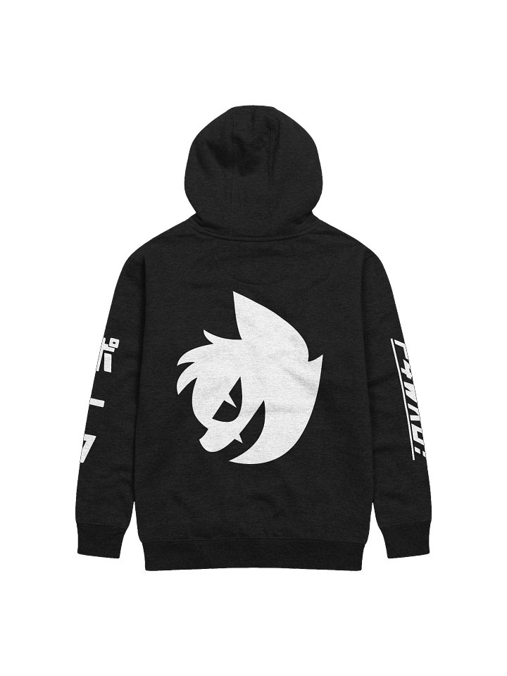 OFFICIAL TEAM P4WKU! HOODIE product image (2)