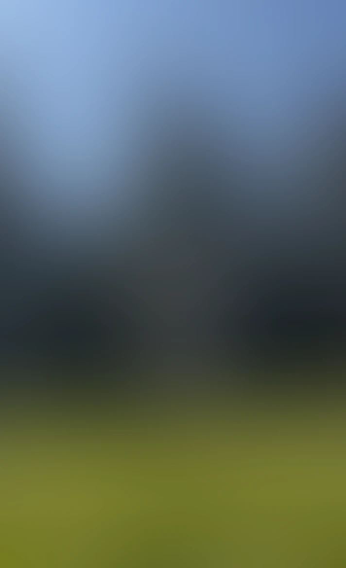 Video thumbnail background