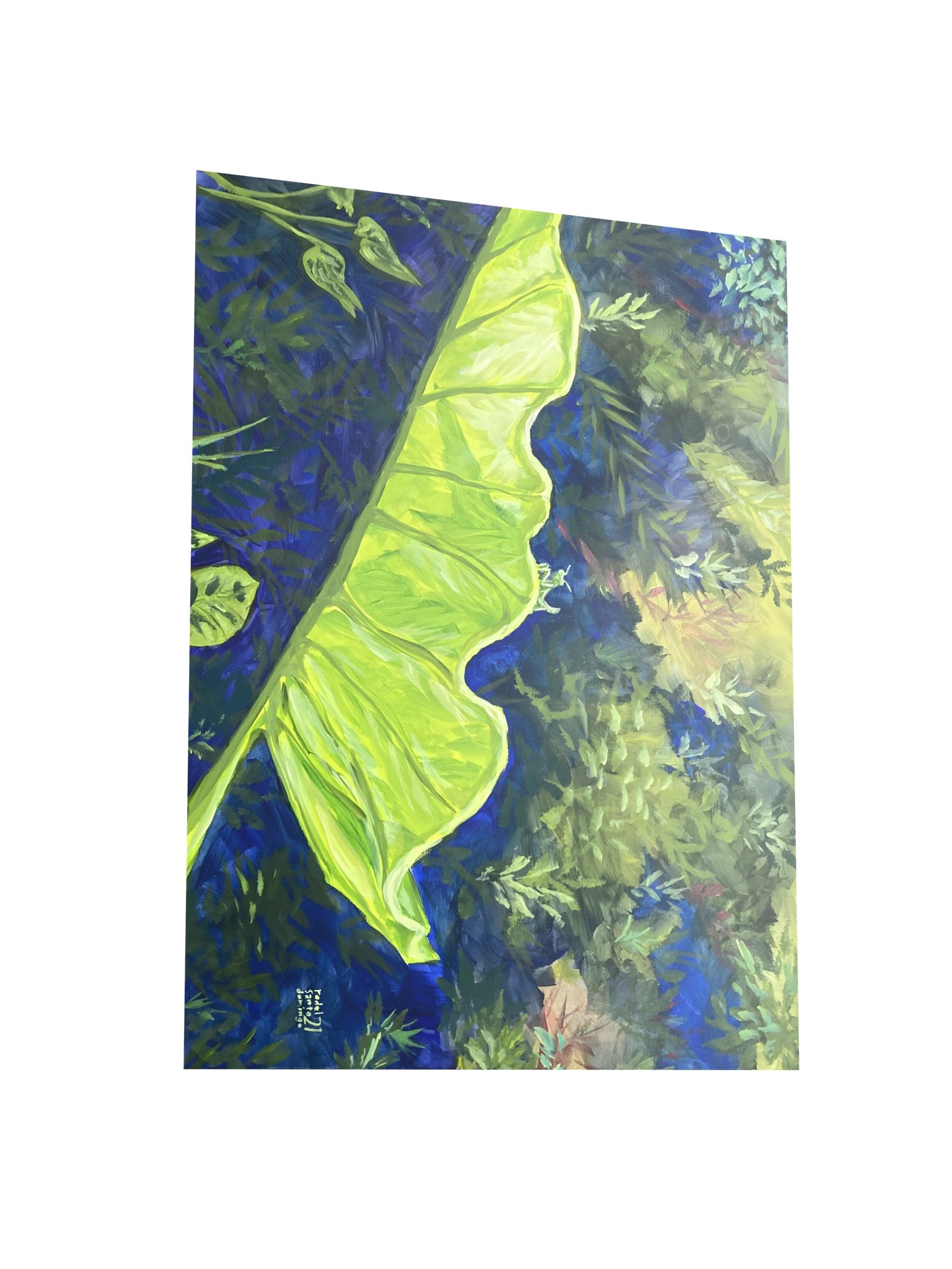 Leaf product image (6)