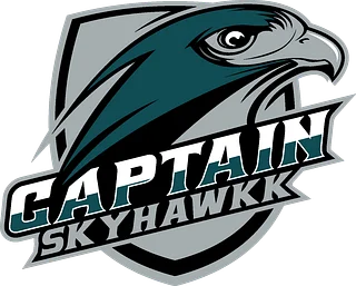 CaptainSkyhawkk