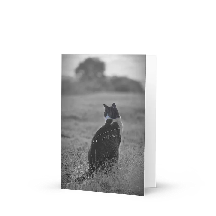 Pawspective Greeting Card product image (1)