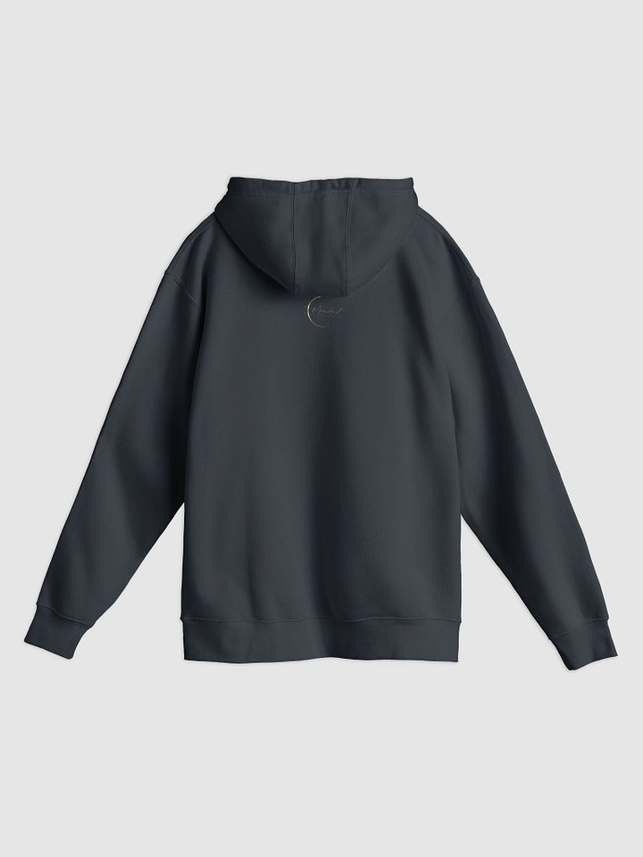 Let's not be entertained by the sins Christ died for hoodie product image (2)