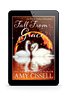 Fall From Grace (Midlife Magic in Eden Valley Novella Book 2.5)